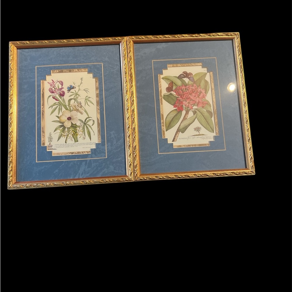 Vintage Windsor Art Print with Gold frame botany flower prints 11x14 2 print set